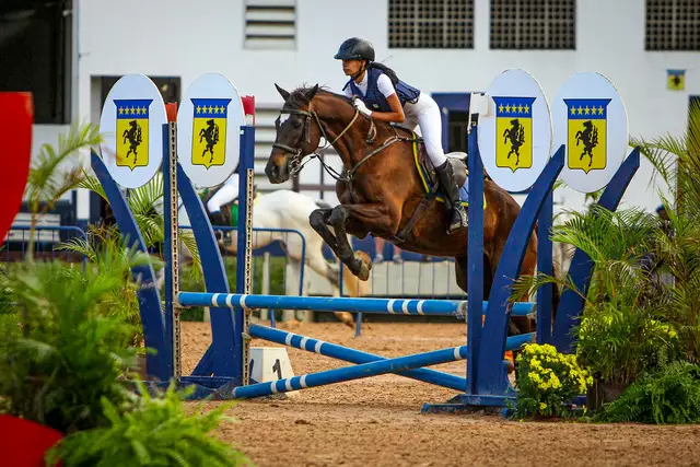 Campeonato Brasileiro de Salto para Escolas de Equitação e Aspirantes movimenta o Rio