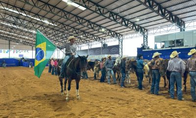 Campeonato Nacional do Quarto de Milha tem dias emocionantes em Araçatuba (SP)