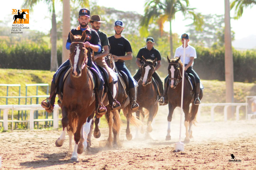 Cavalo Mangalarga tem maior exposição de expansão do ano em Ribeirão Preto (SP)
