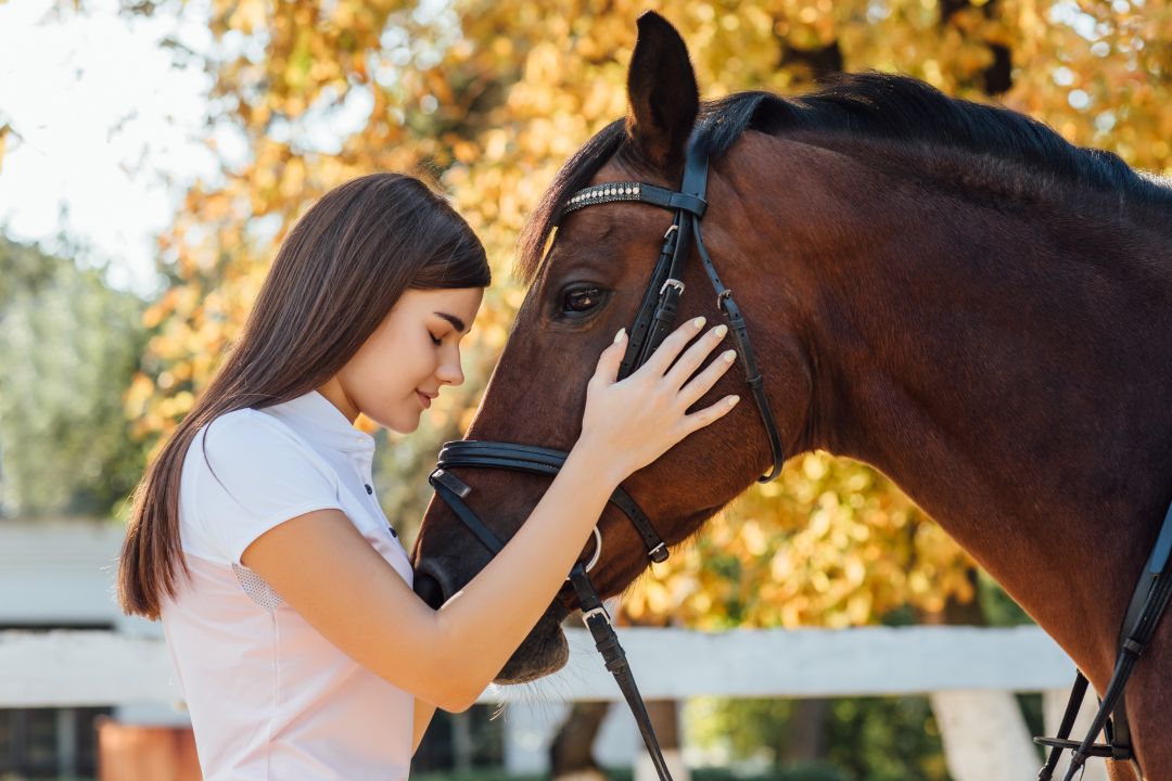 Como os cavalos podem desbloquear crenças e trazer autoconhecimento 