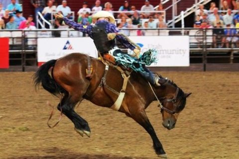 Etapa da Liga Nacional de Rodeios será realizada no interior de Minas