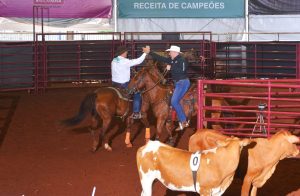 Eventos de Rédeas, Ranch Sorting e Salto abrem a agenda da primeira semana de agosto