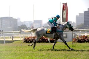 GPs Wathba Stallions Cup for Colts e Fillies II destacam VG Raj Al Mared e Normandia Rach 