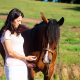 Óleos essenciais podem ser aliados no tratamento de cavalos