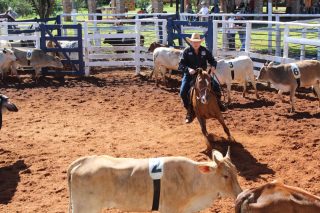 Série associações de cavalos e suas histórias RSNC Brazil
