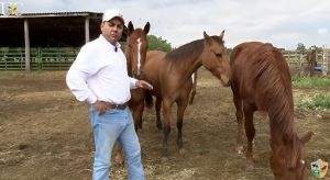 TV UC dá dicas sobre cuidados com os cavalos chucros