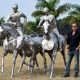 Zé Vasconcelos, o escultor de cavalos conta a sua trajetória nas artes plásticas