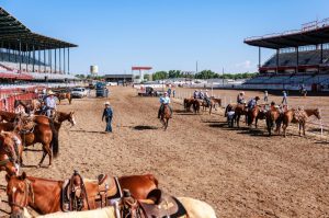 Tradicional rodeio de Cheyenne realiza etapas de PRCA e PBR