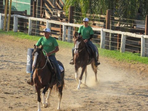 3ª Copa de Marcha e Função Cobasi, Ypê e Braido do Cavalo Mangalarga acontece em Amparo (SP)