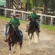 3ª Copa de Marcha e Função Cobasi, Ypê e Braido do Cavalo Mangalarga acontece em Amparo SP
