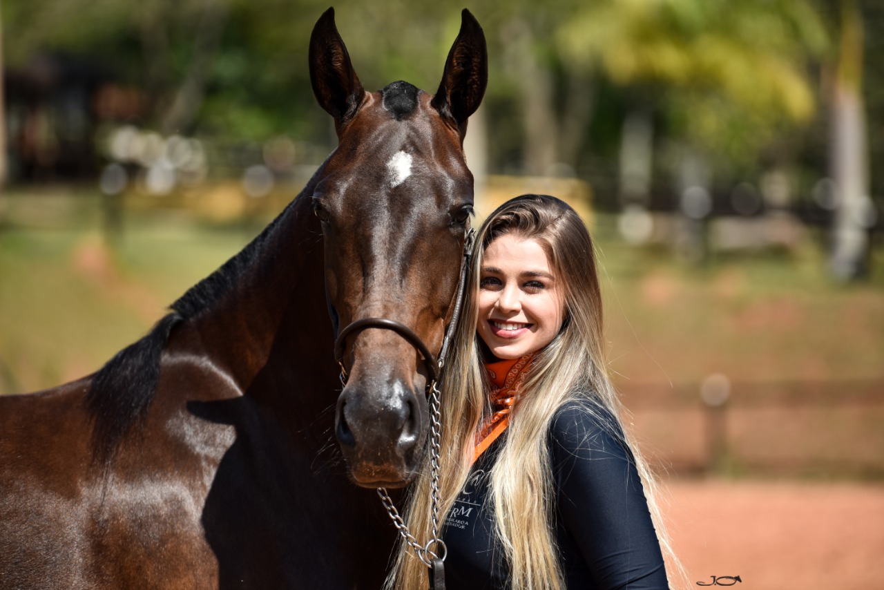 AkiroVet se destaca na recuperação e fisioterapia de cavalos atletas lesionados