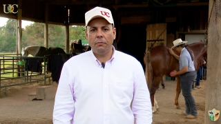 Amor errado pode ser prejudicial aos cavalos, segundo Aluisio Marins da TV UC