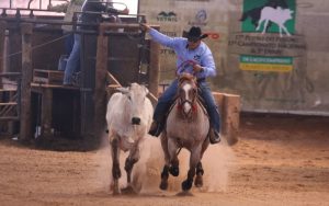 Campeonato Nacional, Potro do Futuro e Derby de Laço Comprido da ABQM terá premiação de R$ 500 mil