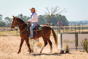 Campeonato Paulista de Equitação de Trabalho destaca a força do Cavalo Mangalarga