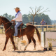 Campeonato Paulista de Equitação de Trabalho destaca a força do Cavalo Mangalarga