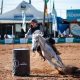 Cavalo Árabe prova que mostra sua funcionalidade promete movimentar a Expointer 2023