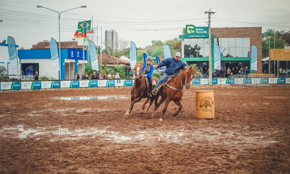 Cavalo Mangalarga irá marcar presença na 46ª Expointer
