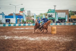 Cavalo Mangalarga irá marcar presença na 46ª Expointer