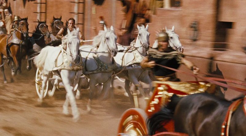 Cavalos Árabes se destacam e viram estrelas no cinema mundial