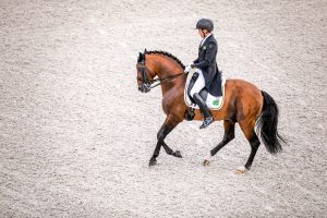 Encontro Keep Riding será realizado pela primeira vez no Haras Mineral no interior de SP