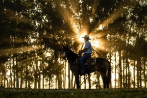 Fotógrafos têm papel importante em eventos equestres