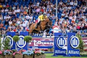 Haras Rosa Mystica fará Leilão Next Generation no São Paulo Horse Show