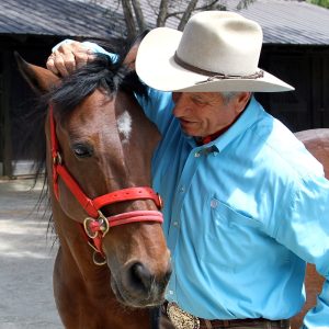 Monty Roberts ministra clínica durante a 68º Festa do Peão de Barretos