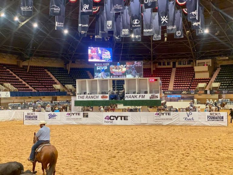 Summer Spectacular 2023 da NCHA com vitória de brasileiro