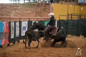 Potro do ‘Big Projeto’ do Rancho Promissão se destaca nas pistas de Working Cow Horse