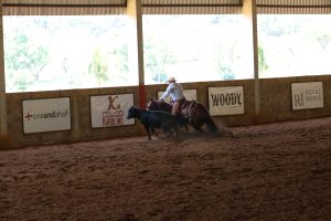 Potro do Futuro e Campeonato Nacional ANCH acontecem dentro da Semana Prudentina