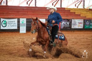 Potro do Futuro e Campeonato Nacional ANCH reuniu mais de 80 inscrições