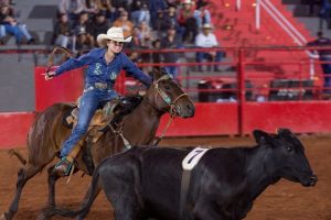 Provas de Ranch Sorting têm inscrições abertas para Festa do Peão de Barretos