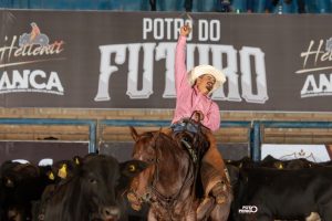 Série associações de cavalos e suas histórias: ANCA