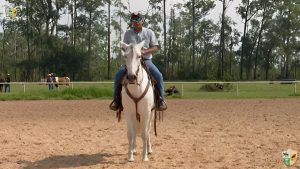 TV UC explica como trabalhar com os cavalos em dias que antecedem as provas