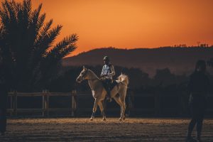 V Etapa do Campeonato Paulista de Enduro Equestre acontece neste sábado em Jaguariúna (SP)