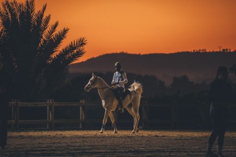 V Etapa do Campeonato Paulista de Enduro Equestre acontece neste sábado em Jaguariúna (SP)