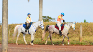 Chuva e frio testam os competidores durante a V Etapa do Campeonato Paulista de Enduro Equestre