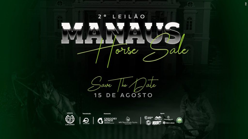 2° Leilão Manaus Horse Sale