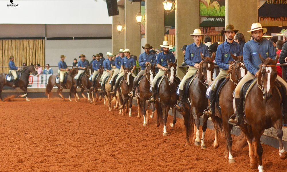 45ª Exposição Nacional do Cavalo Mangalarga começa neste feriado no Centro Hípico de Tatuí