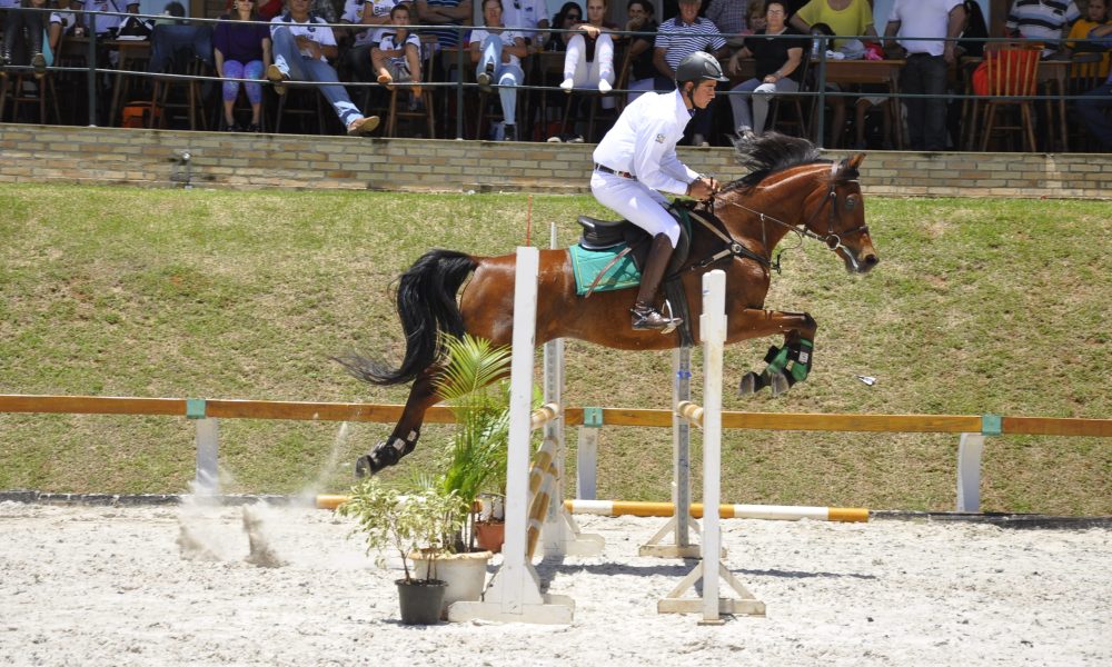 ANCAF E ABCCA juntas no fomento do cavalo Árabe de esporte
