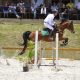 ANCAF E ABCCA juntas no fomento do cavalo Árabe de esporte
