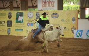 Blond Dun’It Pop vence Derby de Laço Comprido 2023 da ABQM