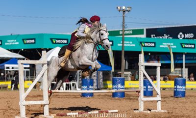Programa do Cavalo Árabe destaca o Campeonato Domados do Pampa