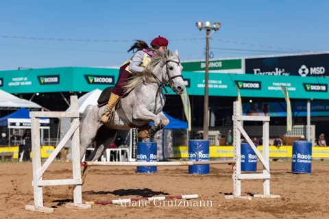 ‘Programa do Cavalo Árabe’ destaca o Campeonato Domados do Pampa
