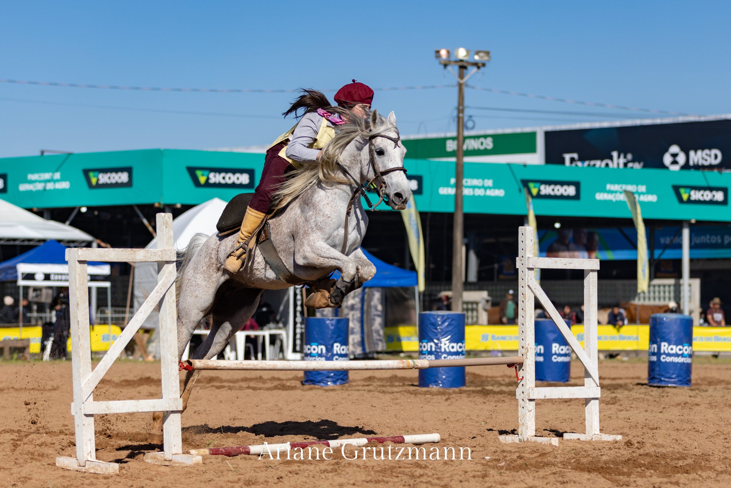 Programa do Cavalo Árabe destaca o Campeonato Domados do Pampa