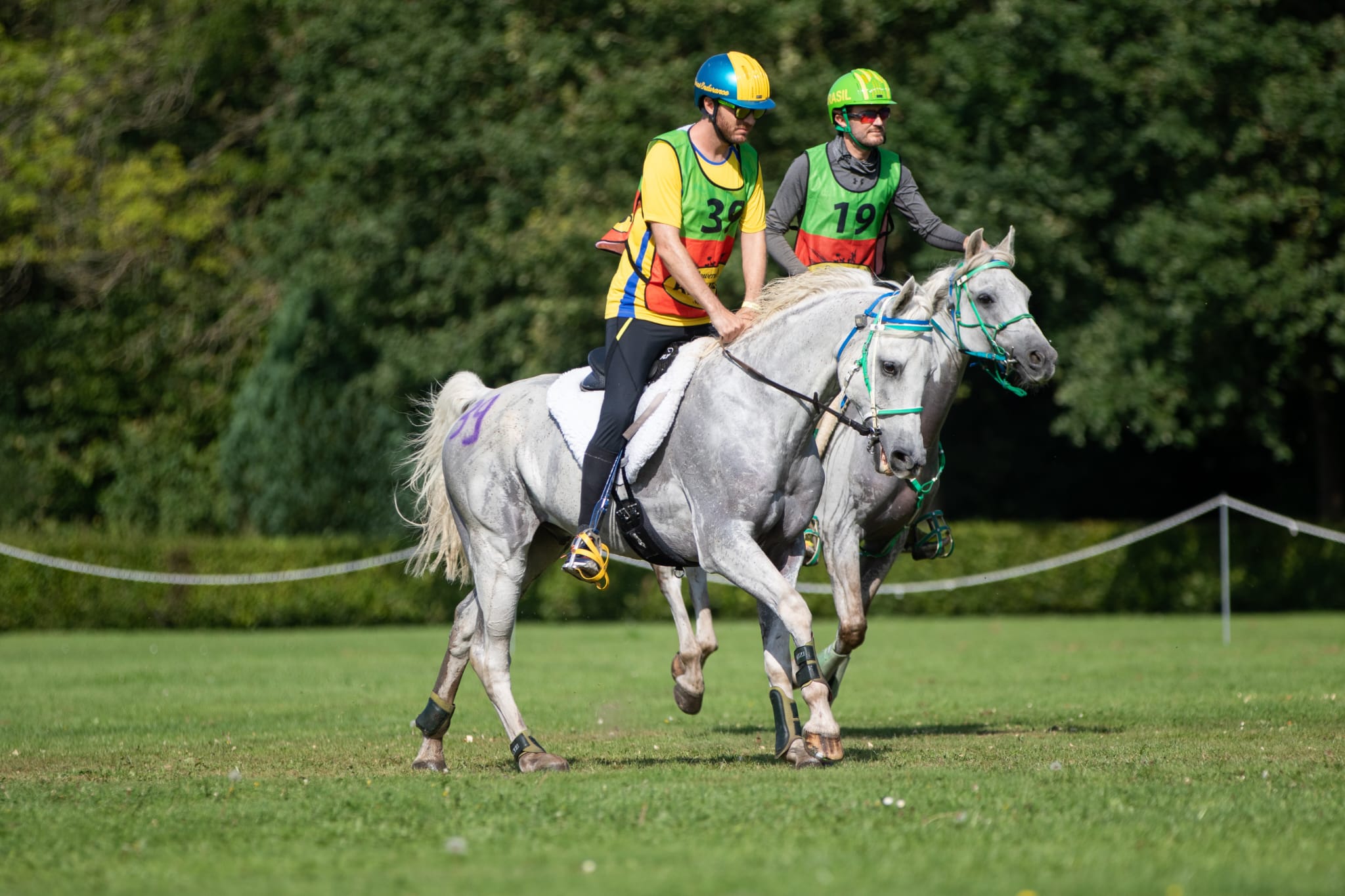 Cavaleiros brasileiros ficam no Top 3 na CEI3 160 Km da FEI Ermelo International Endurance Évents 2023