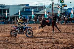 Cavalo Mangalarga se destaca na Expointer