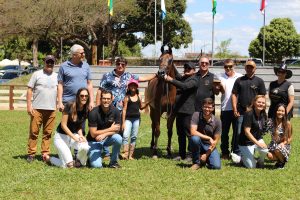 Cavalos da raça Árabe atraem olhares durante a ExpoAbra 2023