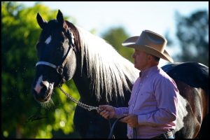 Chico Garcia: da agronomia ao meio equestre