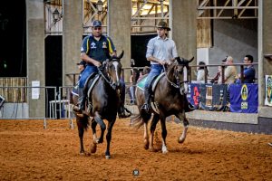 Conheça as modalidades que estão sendo apresentadas na 45ª Exposição Nacional do Cavalo Mangalarga